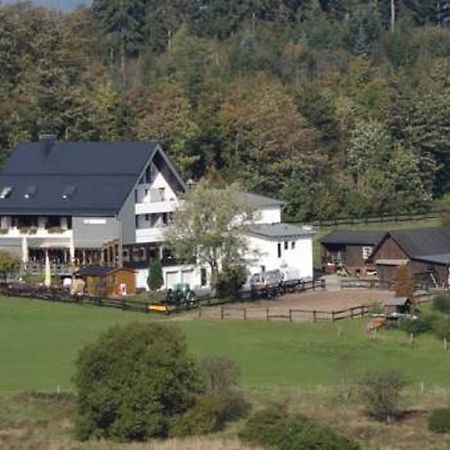 Отель Ginsberger Heide Hilchenbach Номер фото