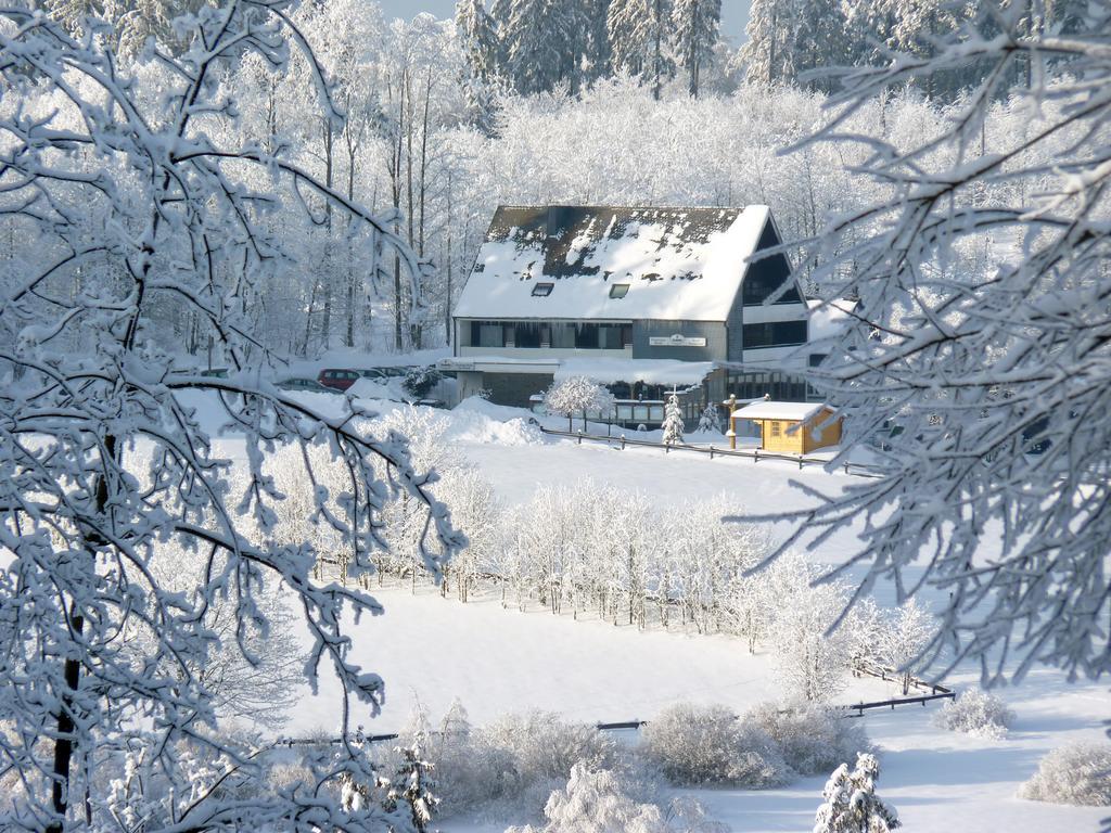 Отель Ginsberger Heide Hilchenbach Экстерьер фото